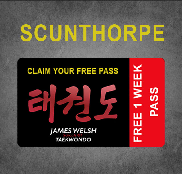 Pass card SCUNTHORPE